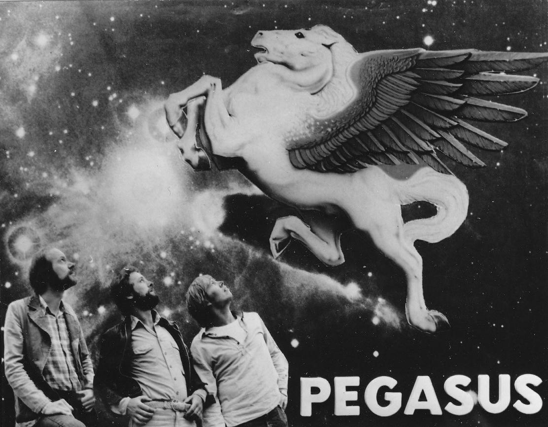 D   1977 Pegasus
